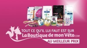 boutique-en-ligne