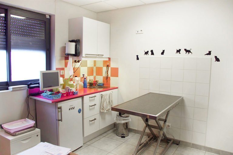 Salles de consultation Clinique Vétérinaire Saint Roch Clinique